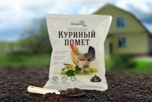 Для безопасности можно использовать гранулированный помёт, прошедший стерилизацию и все стадии подготовки. Для безопасности можно использовать гранулированный помёт, прошедший стерилизацию и все стадии подготовки.