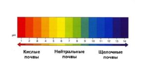 рН < 6 почва кислая, рН – 6,5 – 7,5 - нейтральная pH > 7,5 – щелочная. рН < 6 почва кислая, рН – 6,5 – 7,5 - нейтральная pH > 7,5 – щелочная.