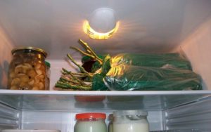 Срок хранения саженцев розы в холодильнике – от 1,5 до 2 месяцев