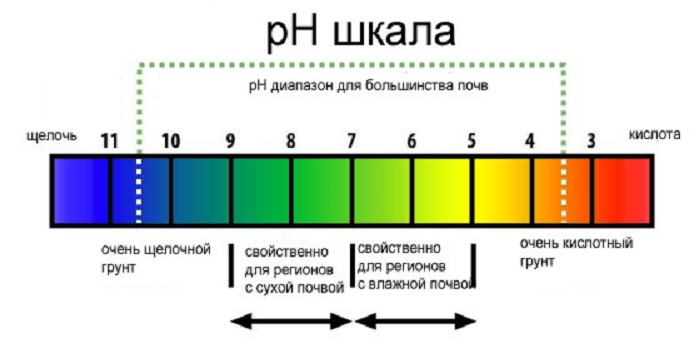 Для определения уровня рН, индикатор помещают в почвенный раствор, приготовленный в дистиллированной или кипяченой воде 1:2. После того, как земля осядет на дно, в жидкость опускают лакмусовую бумагу на несколько секунд. Затем, полоску подносят к цветовой шкале для определения кислотности.