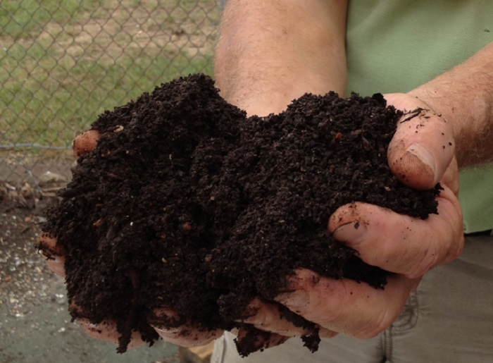 Зрелый компост – однородная масса, которая пахнет землёй и не содержит неперегнивших остатков навоза.