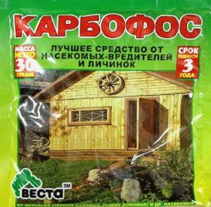 Розанный пилильщик как бороться. Смотреть фото Розанный пилильщик как бороться. Смотреть картинку Розанный пилильщик как бороться. Картинка про Розанный пилильщик как бороться. Фото Розанный пилильщик как бороться