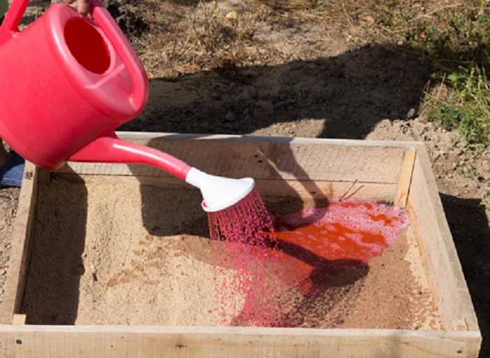 Грунт череночника должен быть рыхлым, преимущественно песчаным, и простерилизованным перманганатом калия.