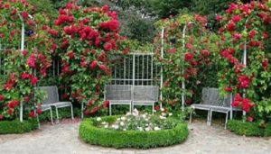 В окружении роз на шпалере зона отдыха выглядит нарядной, как изысканная гостиная в доме. Такая тенденция в ландшафтном дизайне получила девиз – «Сад продолжение дома».