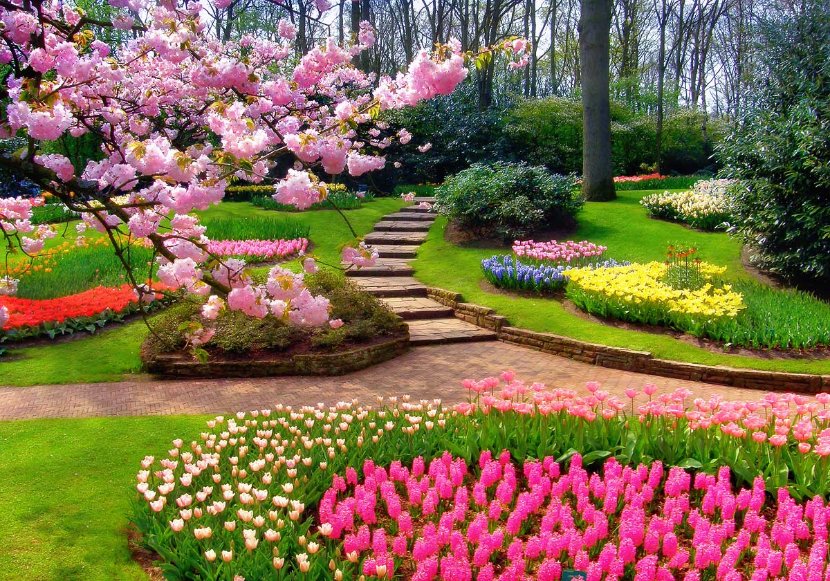 Красивые цветущие сады фото