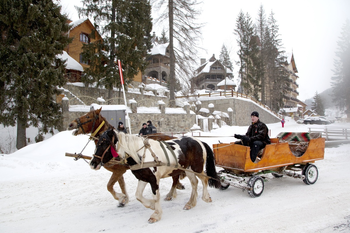 Зимние каникулы в Украине