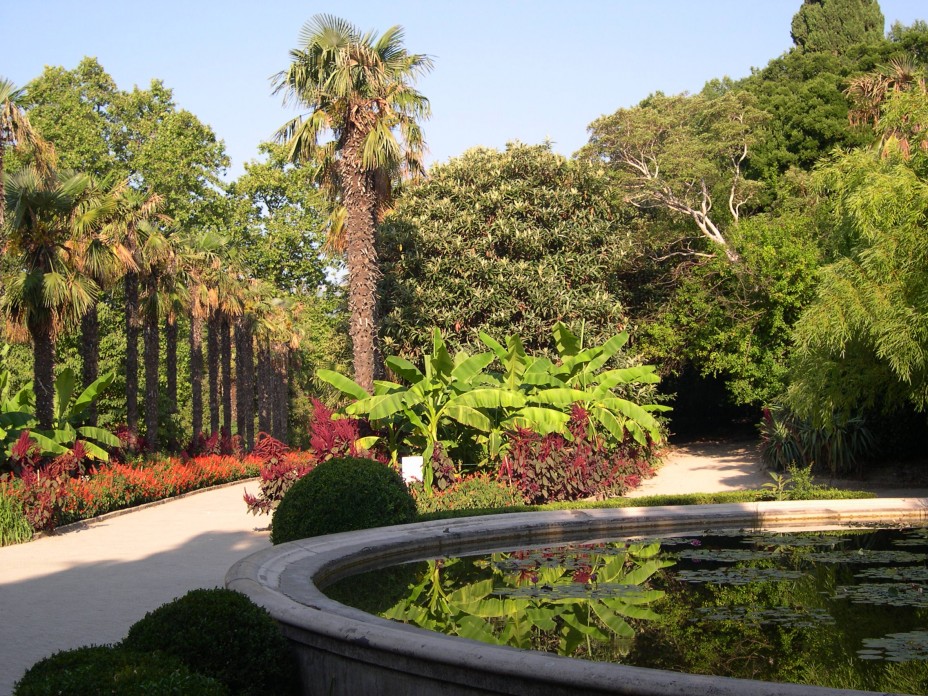 Научно-исследовательский центр Никитский Ботанический сад