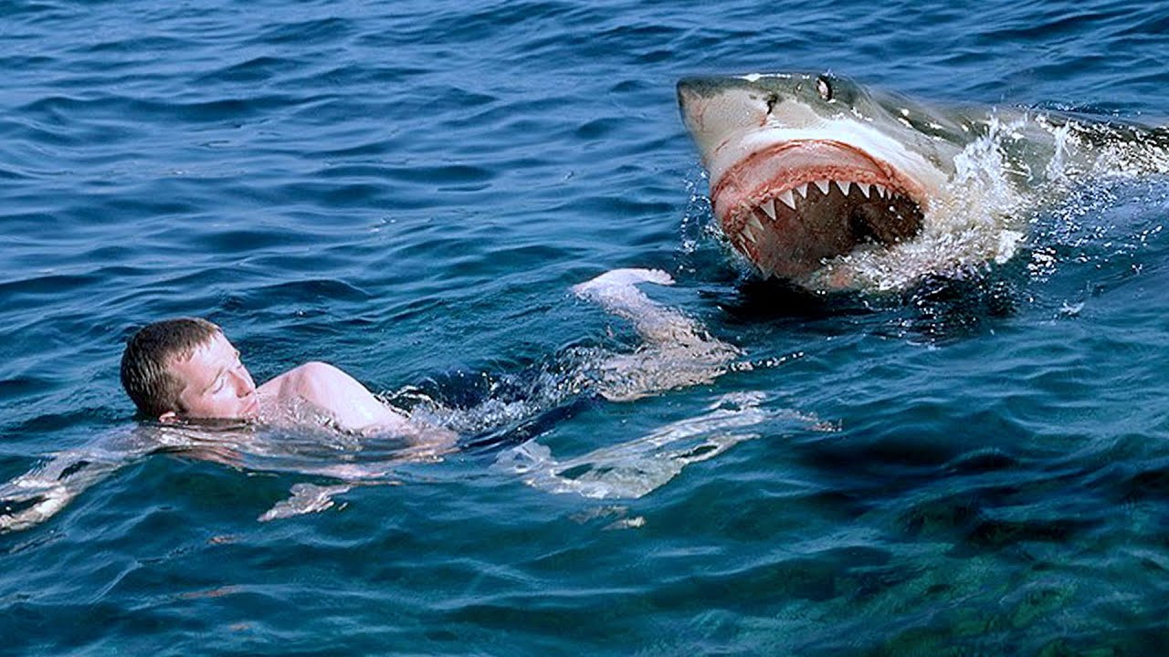 Soñar con tiburones fuera del agua