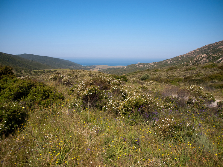 Мыс де ля Аг (Cap de la Hague) в Нормандии (как добраться, история и фото)