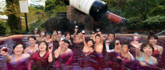 Бассейн вина в Японии